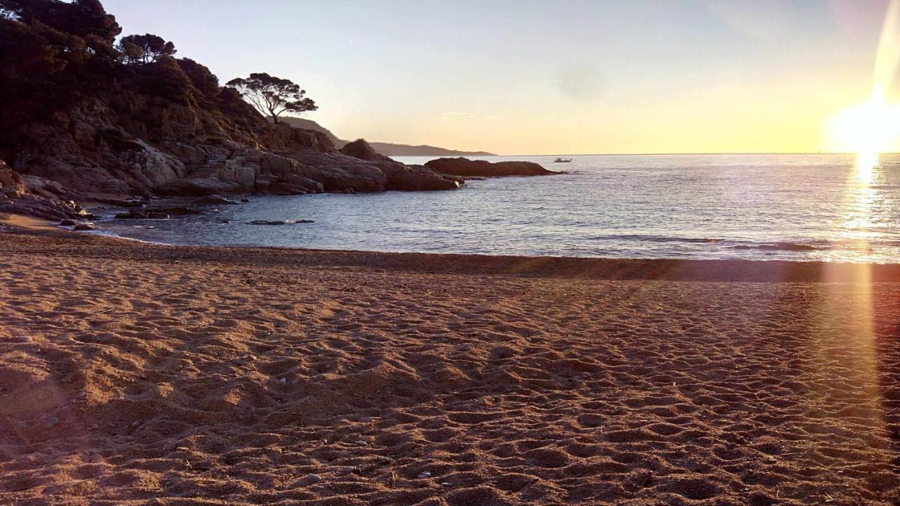 Apartamento Carabela Siente la briza del mar desde la terraza Tossa de Mar Exterior foto